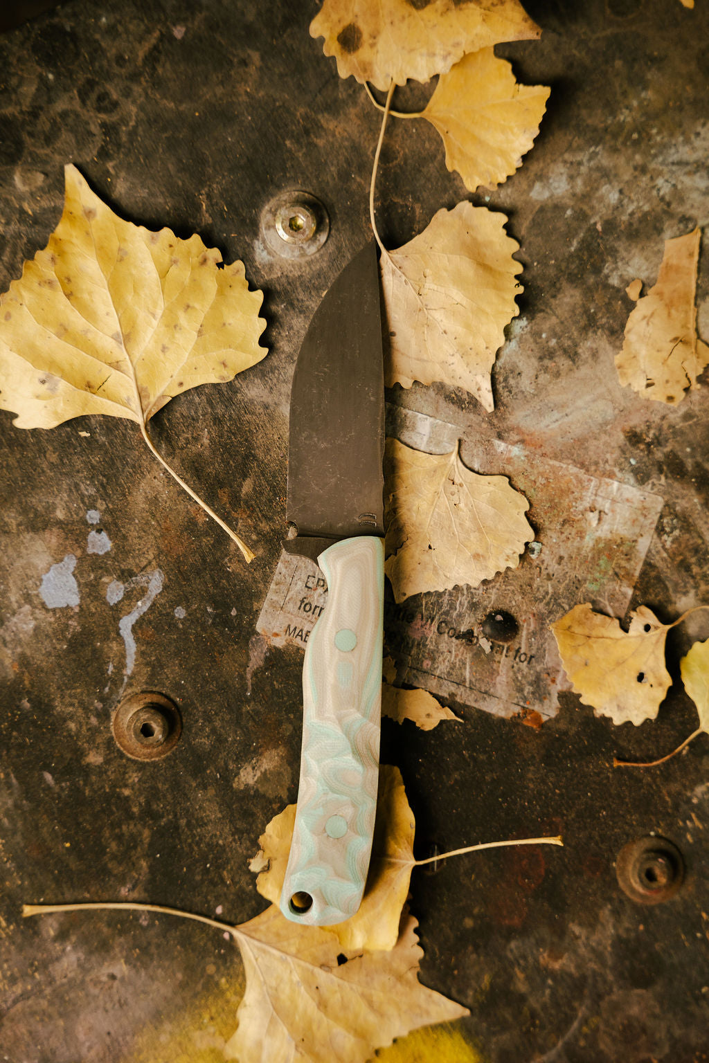 G10 burl Huckleberry