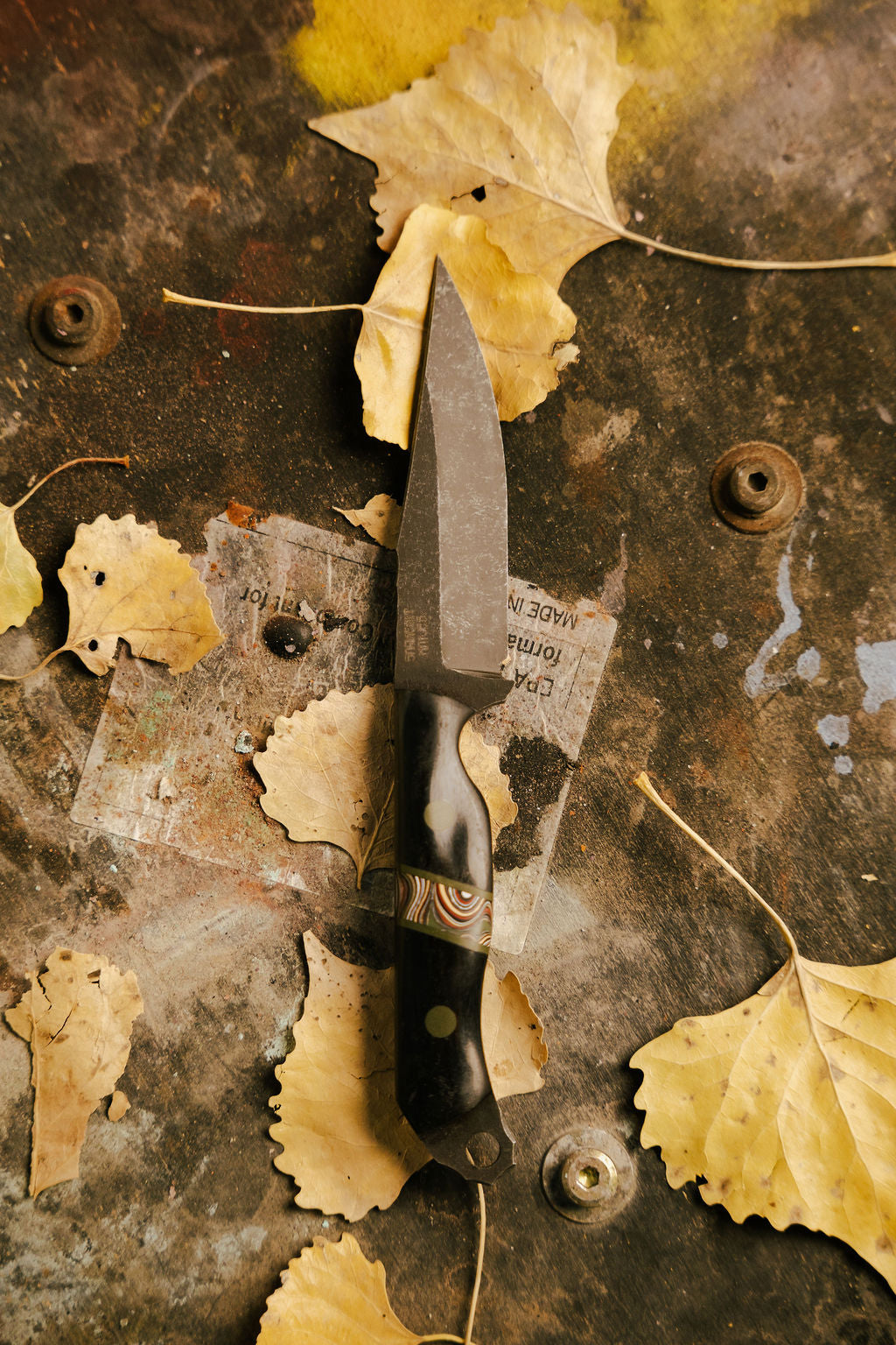 Shepard's Trip Rattler
