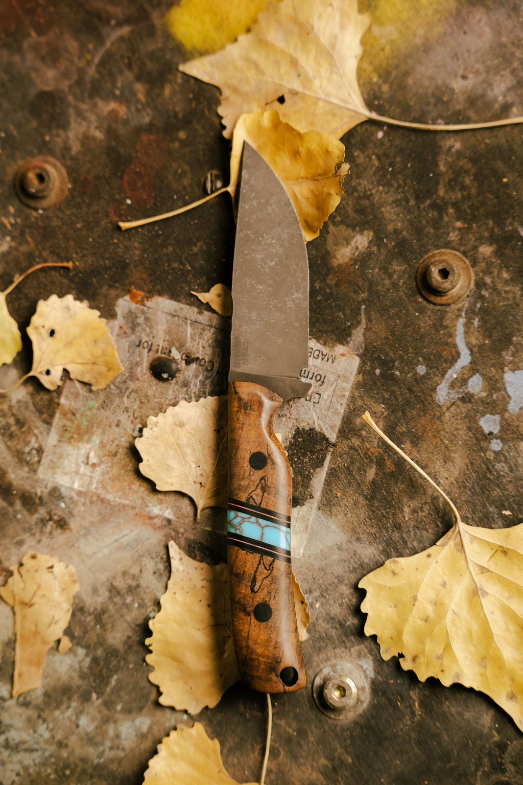 Southwest classic Huckleberry