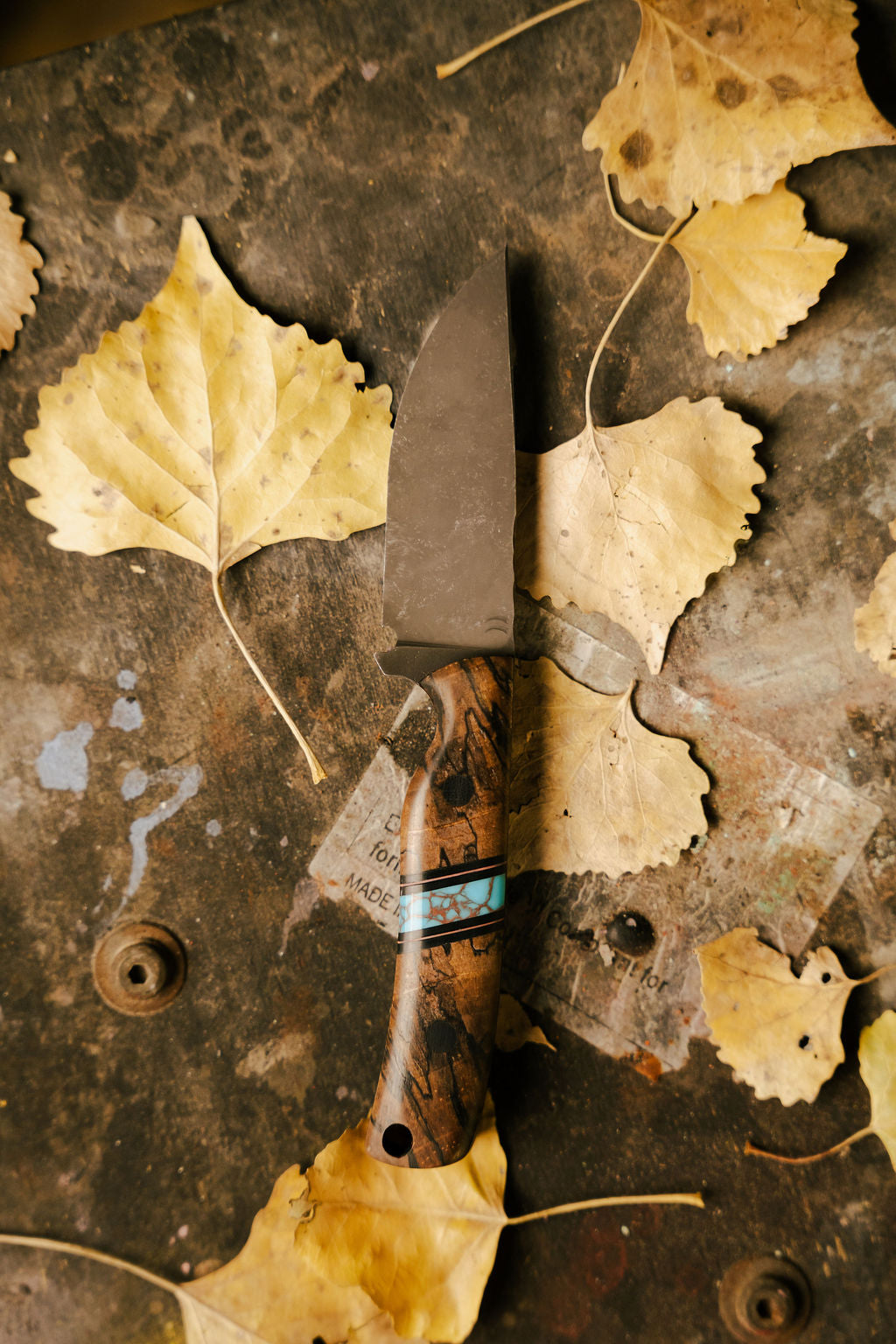 Southwest classic Huckleberry
