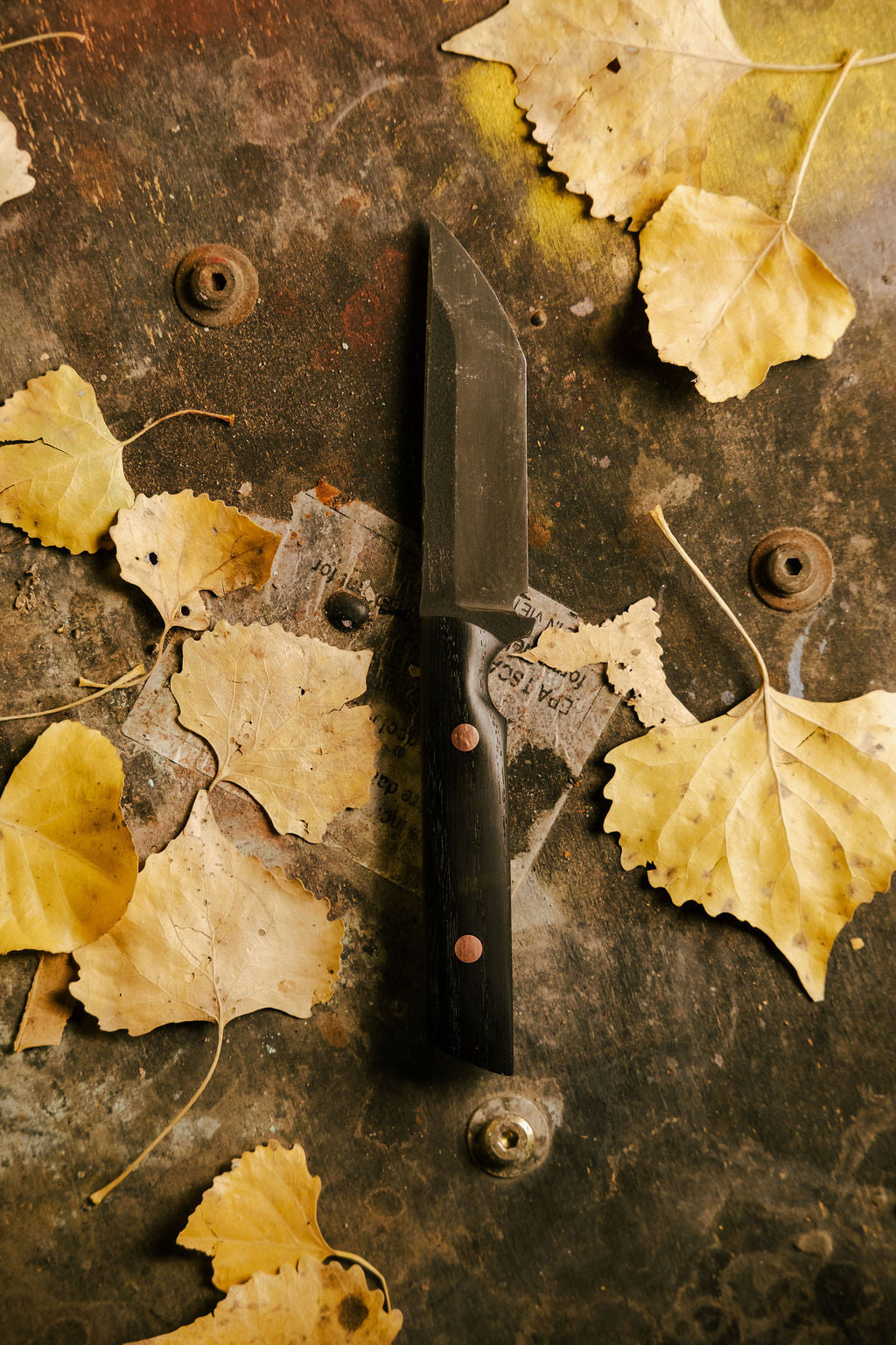 Bog Oak Tanto