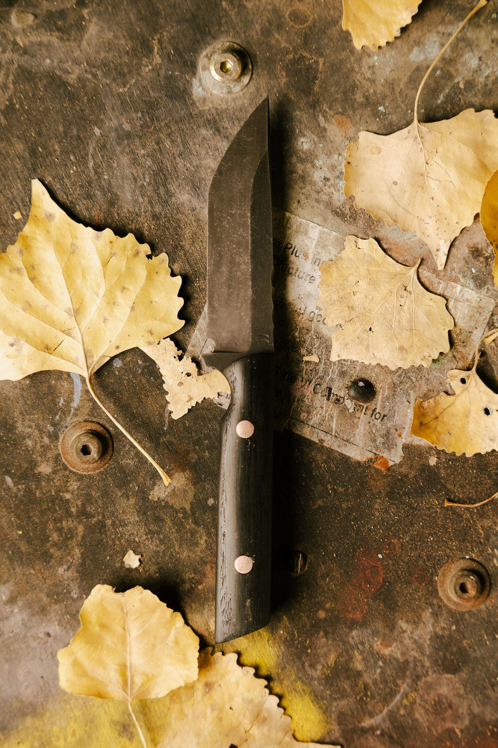 Bog Oak Tanto